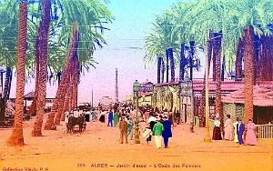 Alger - Jardin d'essai